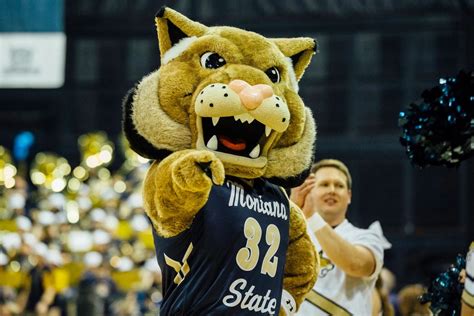 Into the Spotlight: An Insider's Look at the Day-to-Day Life of Gordon Mascot